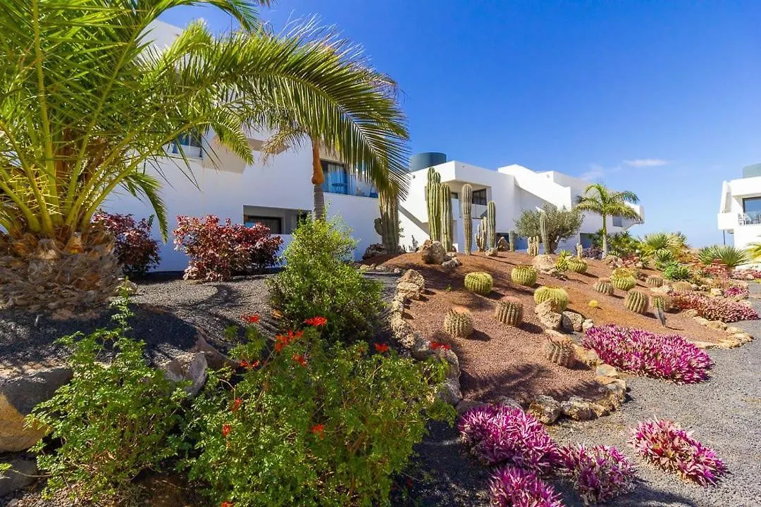 Modern 2-Bdr Apartment With A Pool - Casa Lex La Oliva